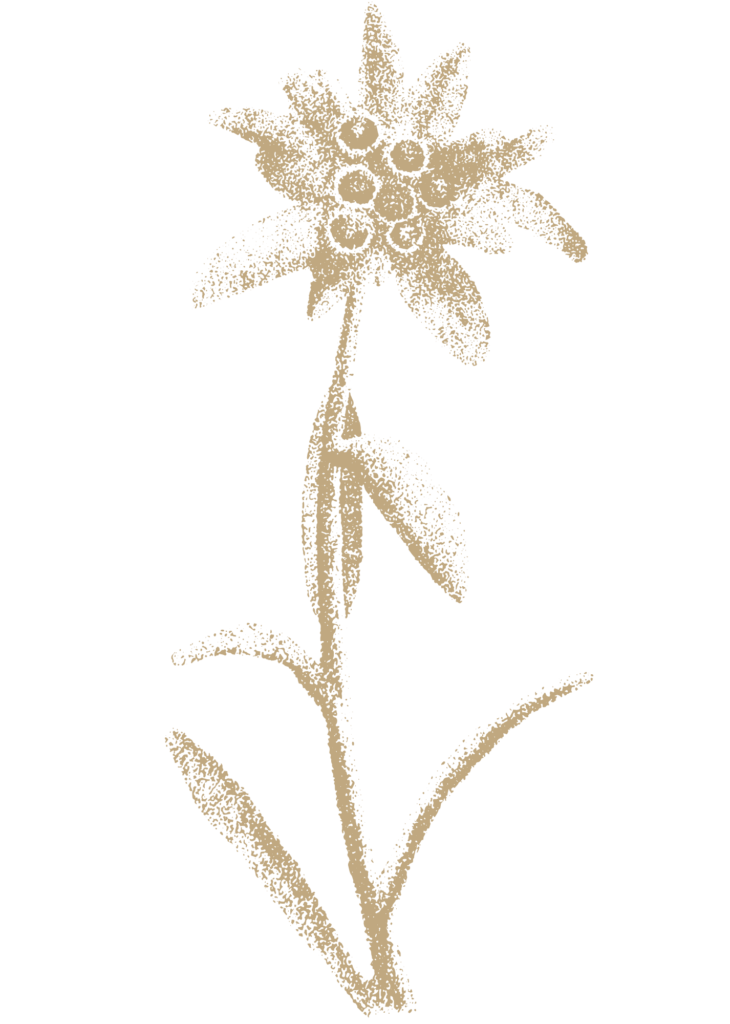 Cardápio digital Edelweiss fundo flor